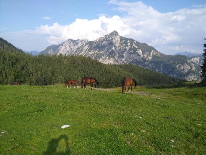 Mountainlove Strobl Εξωτερικό φωτογραφία